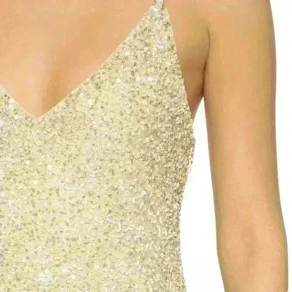 Alice + Olivia Kalia Beaded V-neck Beige Slip Dress Size Small - Picture 9 of 9